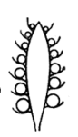 0500mfds-ffe1-86x151.png