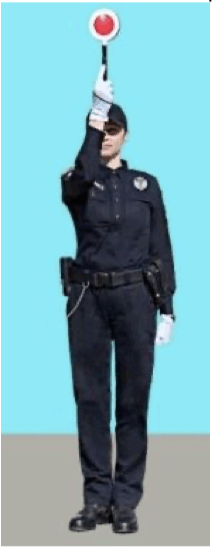 0500mfmx-2947-212x548.png