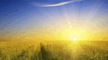 0500mifd-3805-212x119.png