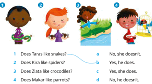 The zoo: lesson 4