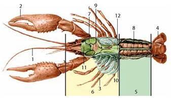0500mpoz-f2b0-337x193.jpg