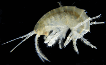 0500mria-52b5-357x221.png