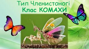 Тип Членистоногі   Клас КОМАХИ