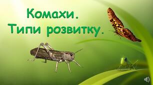Презентація "Комахи. Типи розвитку комах"