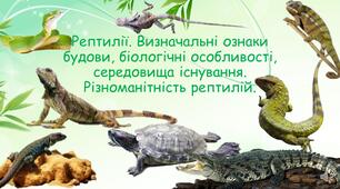 Рептилії. Визначальні ознаки будови, біологічні особливості, середовища існування. Різноманітність рептилій