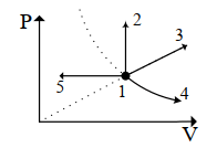 0500mvff-4d2b-196x134.png