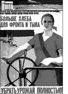 0500mvhv-4562-240x330.jpg