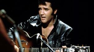 "Love me tender". Elvis Presley song.