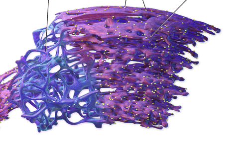 0500mw5s-6f55-472x286.png