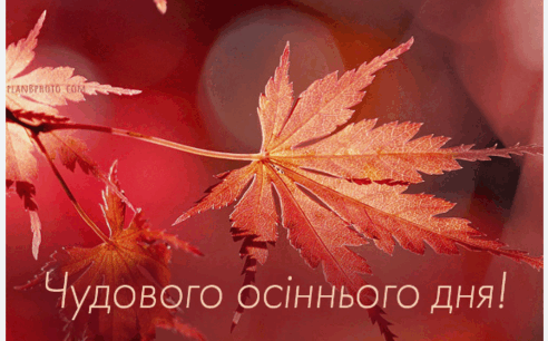 0500mwbp-ac64-492x306.png