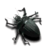 0500mxde-6429-200x200.gif