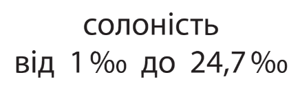 0500n3l3-d519-436x125.png