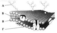 0500n7d0-0cd3-200x117.jpg