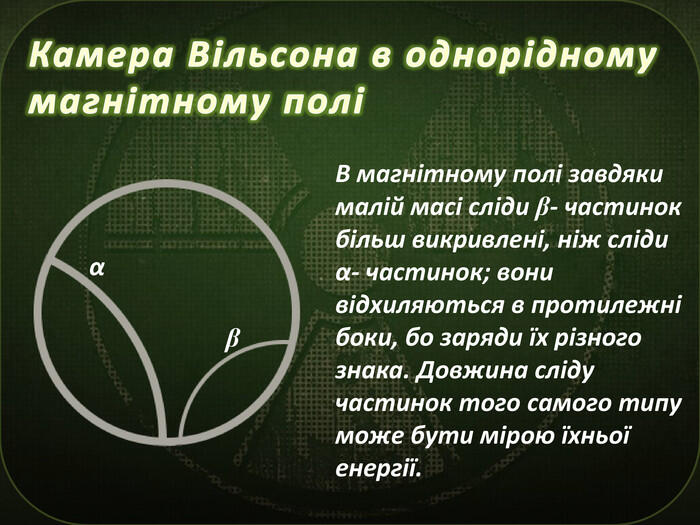 Камера Вільсона в однорідному магнітному поліВ магнітному полі завдяки малій масі сліди β- частинок більш викривлені, ніж сліди α- частинок; вони відхиляються в протилежні боки, бо заряди їх різного знака. Довжина сліду частинок того самого типу може бути мірою їхньої енергії.αβ