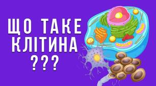 Узагальнюючий урок з теми «Структура клітини»
