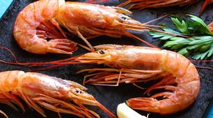 Урок 32. Приготування  страв  із нерибних продуктів  моря.