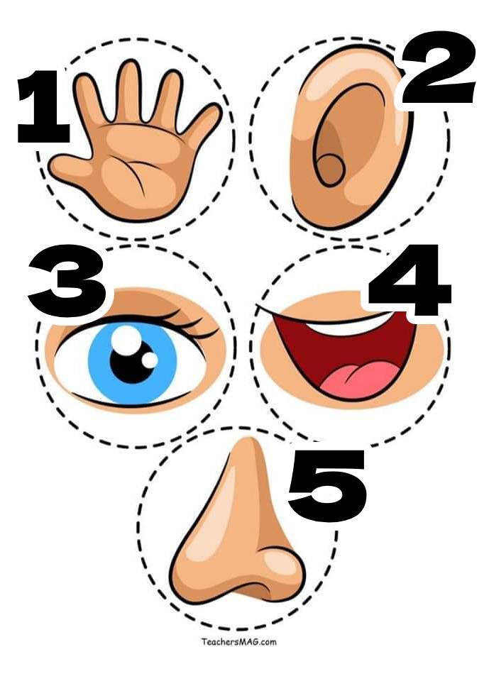 0500ngs4-28f6-689x960.jpg