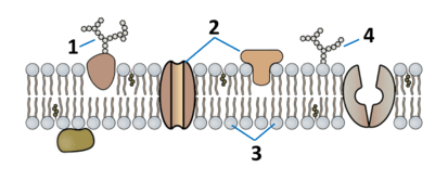 0500nim1-67d4-413x166.png