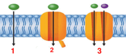 0500nimm-db0f-604x268.png