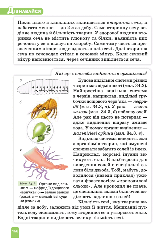 0500niom-2514-531x769.png
