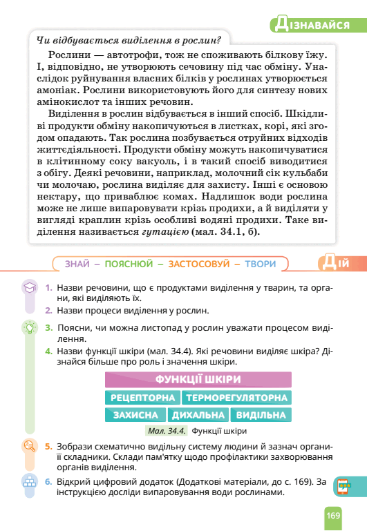 0500nion-6c05-531x769.png