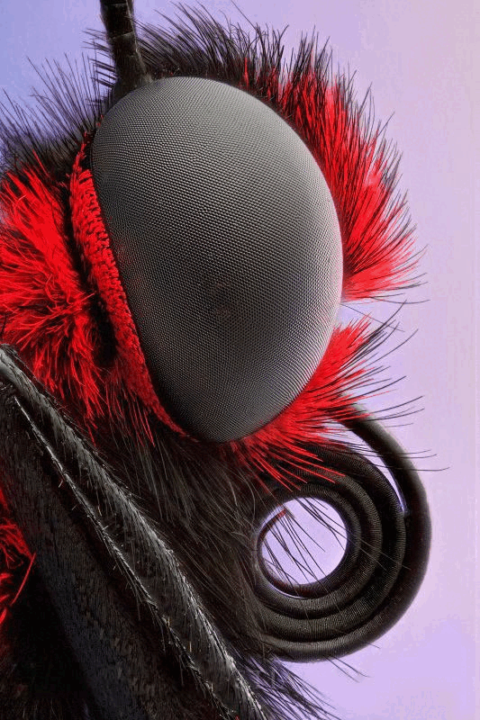 0500nj05-03fe-533x800.png