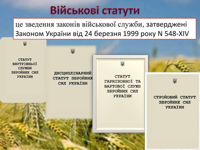 0500np32-0d57-700x525.jpg