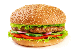 0500nsi9-9153-242x165.png