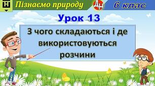 Відеоурок "З чого складаються і де використовуються розчини"