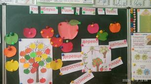 Хто яблуко з`їдає, у лікаря не буває)