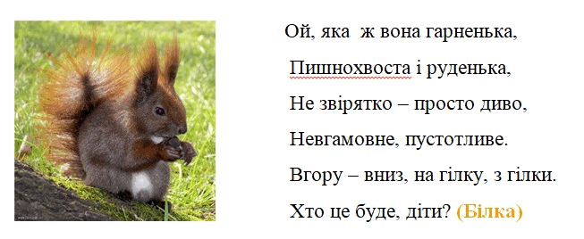 0500nwf5-46e9-653x268.png