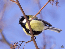 0500nwrt-f790-270x204.png
