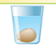 0500nxwt-904b-183x170.png
