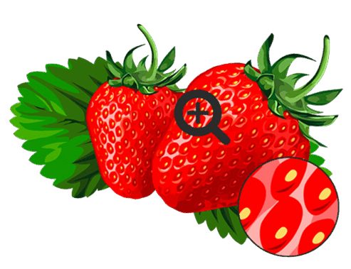 0500nyzo-5699-493x379.png