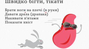 Мовознавча вікторина "Правда. Неправда"
