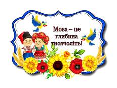 0500o57o-17cc-231x173.jpg