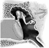 0500o7j1-30d6-162x159.jpg