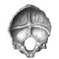 0500o7ps-e468-197x197.jpg
