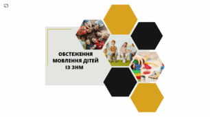 Обстеження мовлення у дітей із ЗНМ I-IV рівня