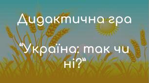 Дидактична гра "Україна: так чи ні"