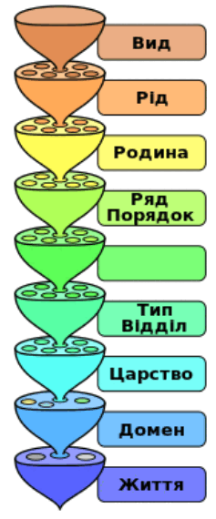 0500o8mx-0d56-237x570.png