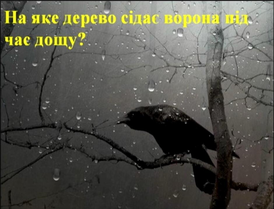 0500o9pi-0591-940x715.jpg