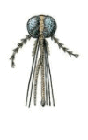 0500o9xf-9282-100x158.png
