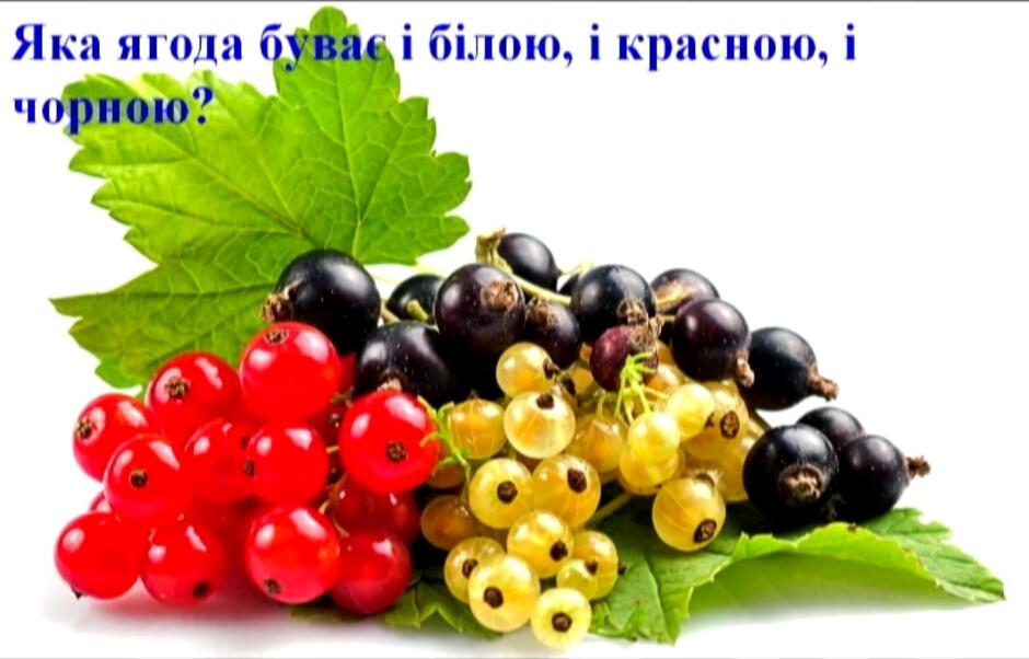 0500o9xg-7d27-940x602.jpg
