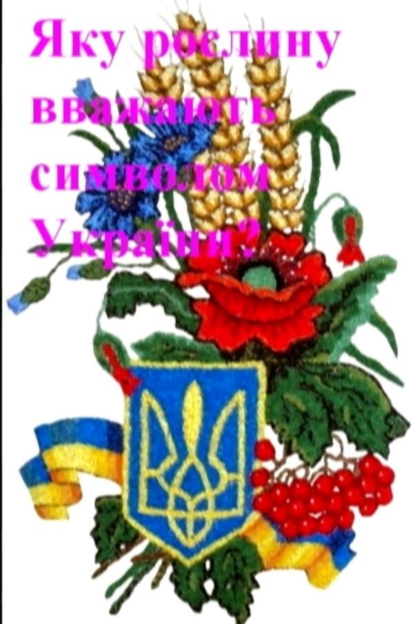 0500oa0u-2bb8-609x905.jpg