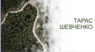 Презентація "Україна часів Т. Шевченка. Дитинство Т.Г.Шевченка – «легендарного поета» та «великого борця за волю свого краю" (на основі повісті С.Васильченка «Широкий шлях» частини першої «У бур'янах»)