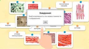 "Інтерактивні завдання"  онлайн 7 клас