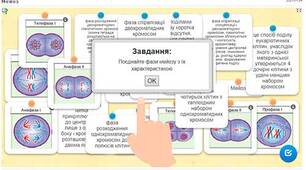 "Інтерактивні завдання"  онлайн 8 клас