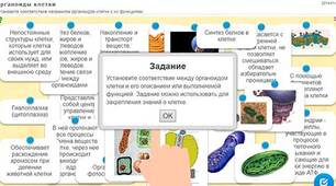"Інтерактивні завдання" онлайн 9 клас