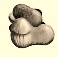 0500ocao-b9aa-198x192.png